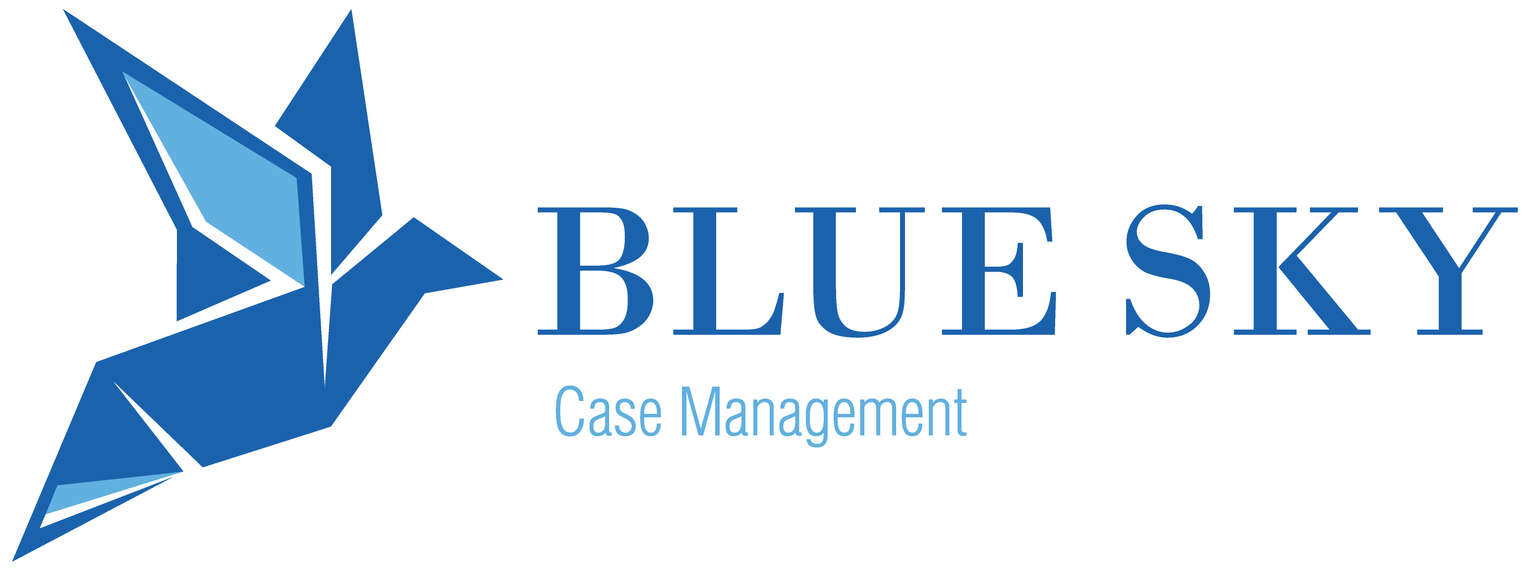 Blue Sky Case Management